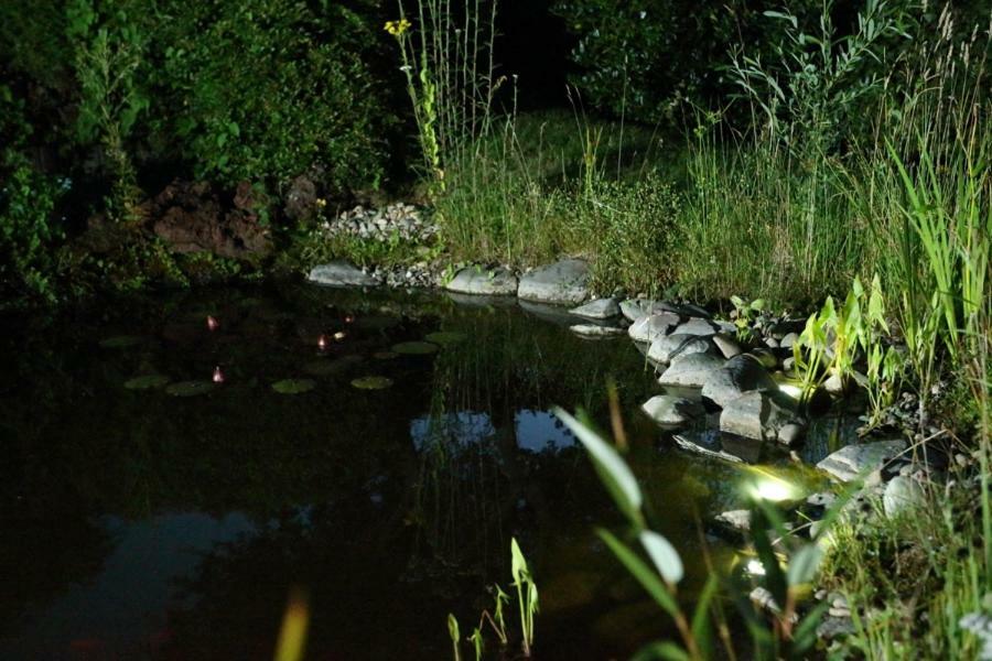 Ferienwohnung Welcome Mit Seeblick Schalkenmehren Eksteriør bilde
