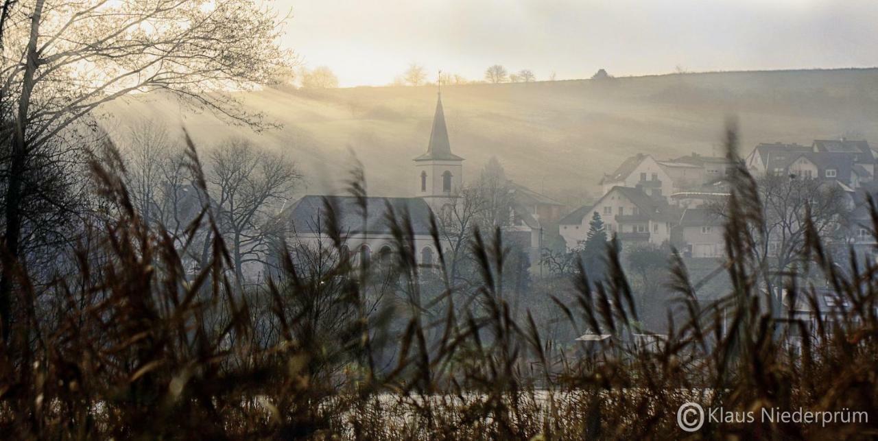 Ferienwohnung Welcome Mit Seeblick Schalkenmehren Eksteriør bilde