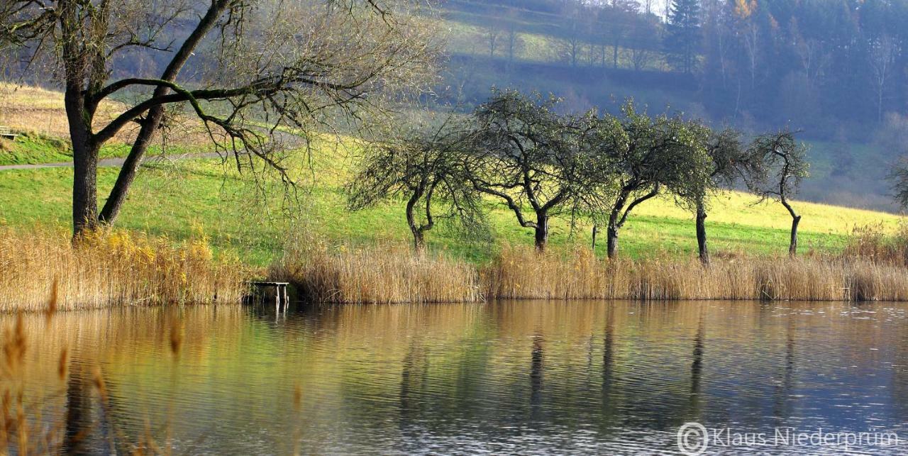 Ferienwohnung Welcome Mit Seeblick Schalkenmehren Eksteriør bilde