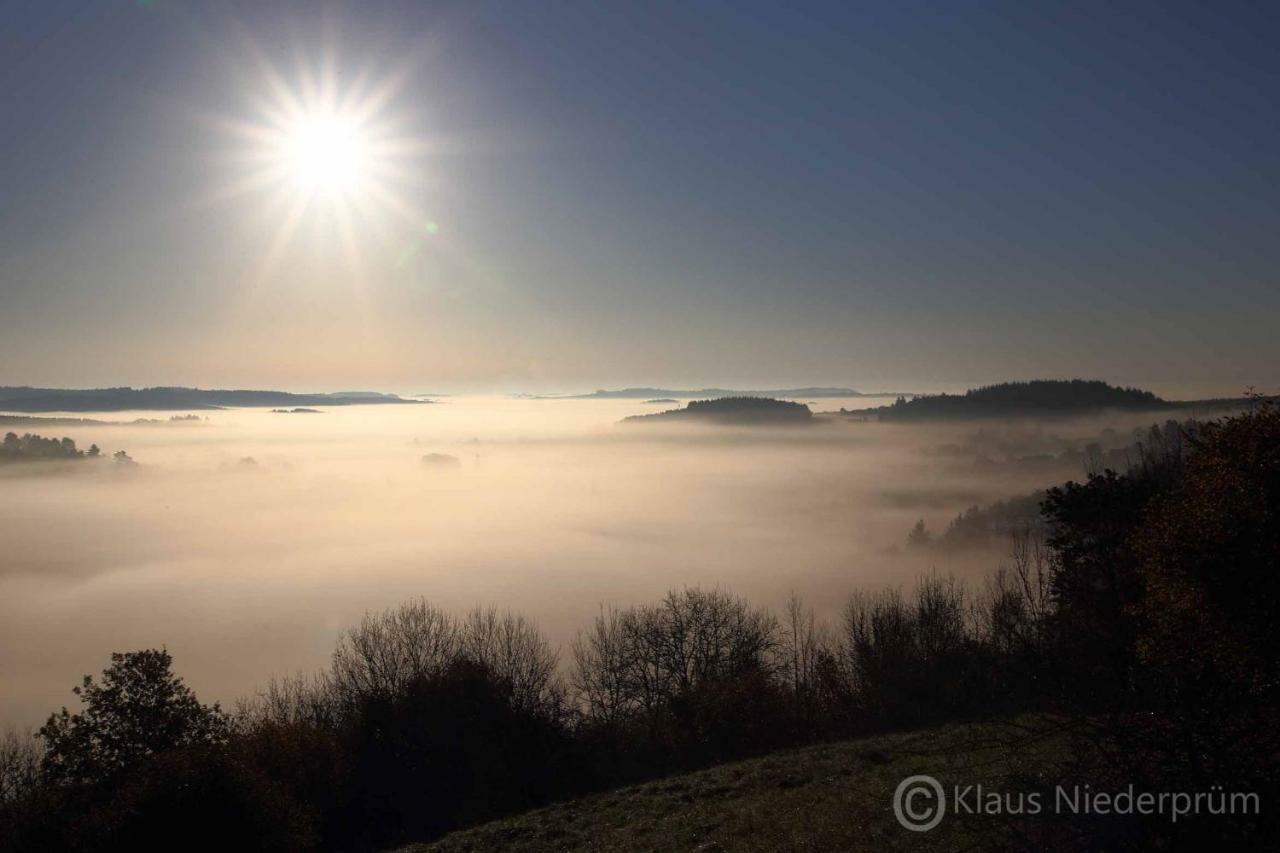 Ferienwohnung Welcome Mit Seeblick Schalkenmehren Eksteriør bilde